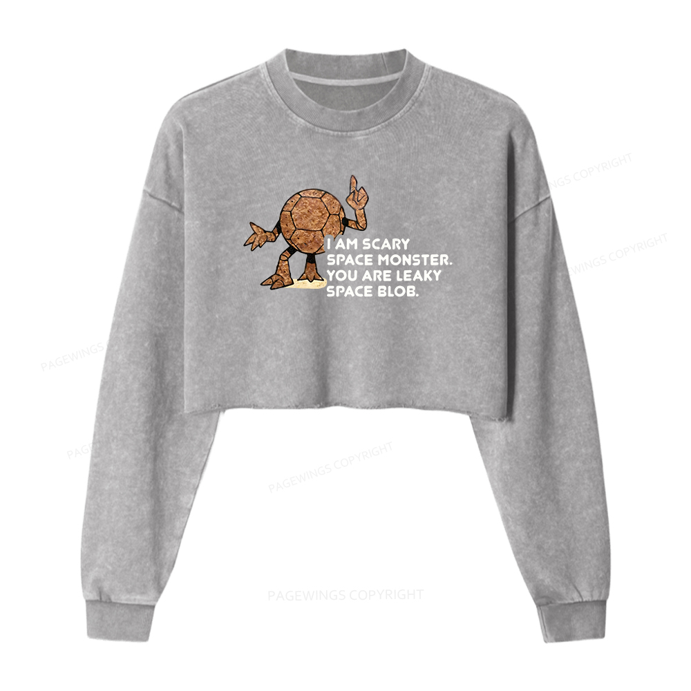 Pagewings Sci-Fi Washed Crop Sweatshirt