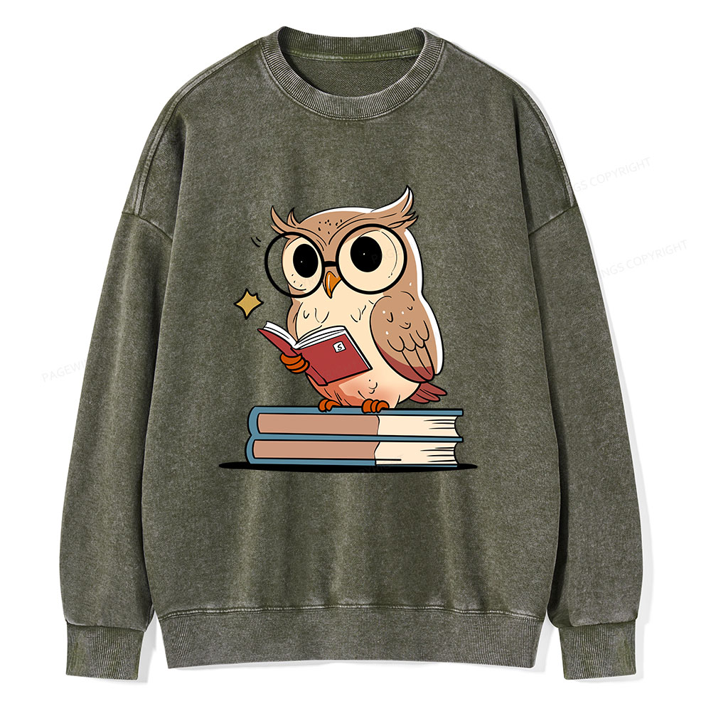 Pagewings The Owl Reader Unisex Washed Sweatshirt