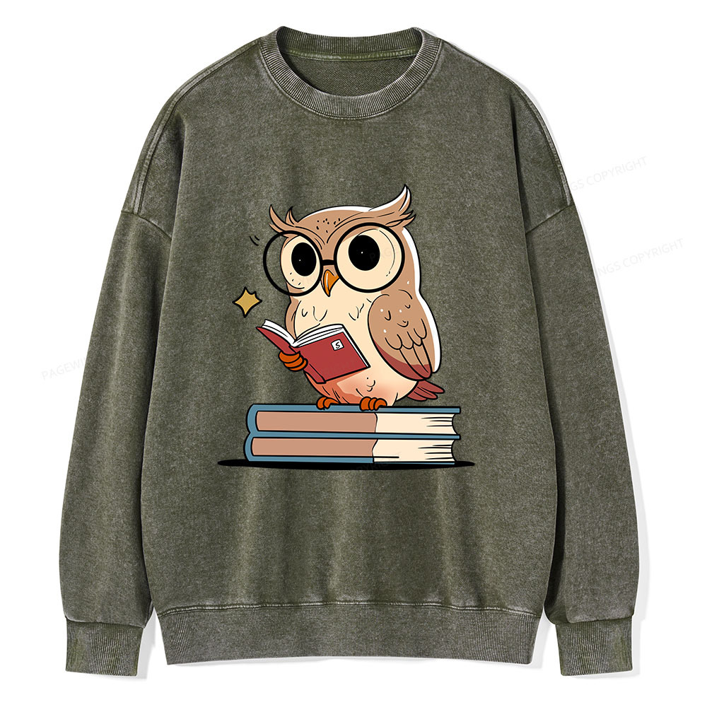 Pagewings The Owl Reader Unisex Washed Sweatshirt