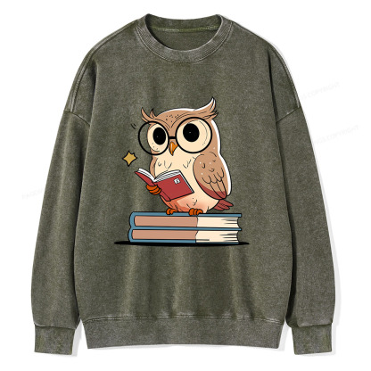 Pagewings The Owl Reader Unisex Washed Sweatshirt
