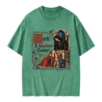 Pagewings Funny Medieval Romantasy Unisex Washed T-shirt