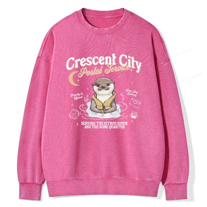 Pagewing Reading Fantasy Bookish Unisex Washed Sweatshirt