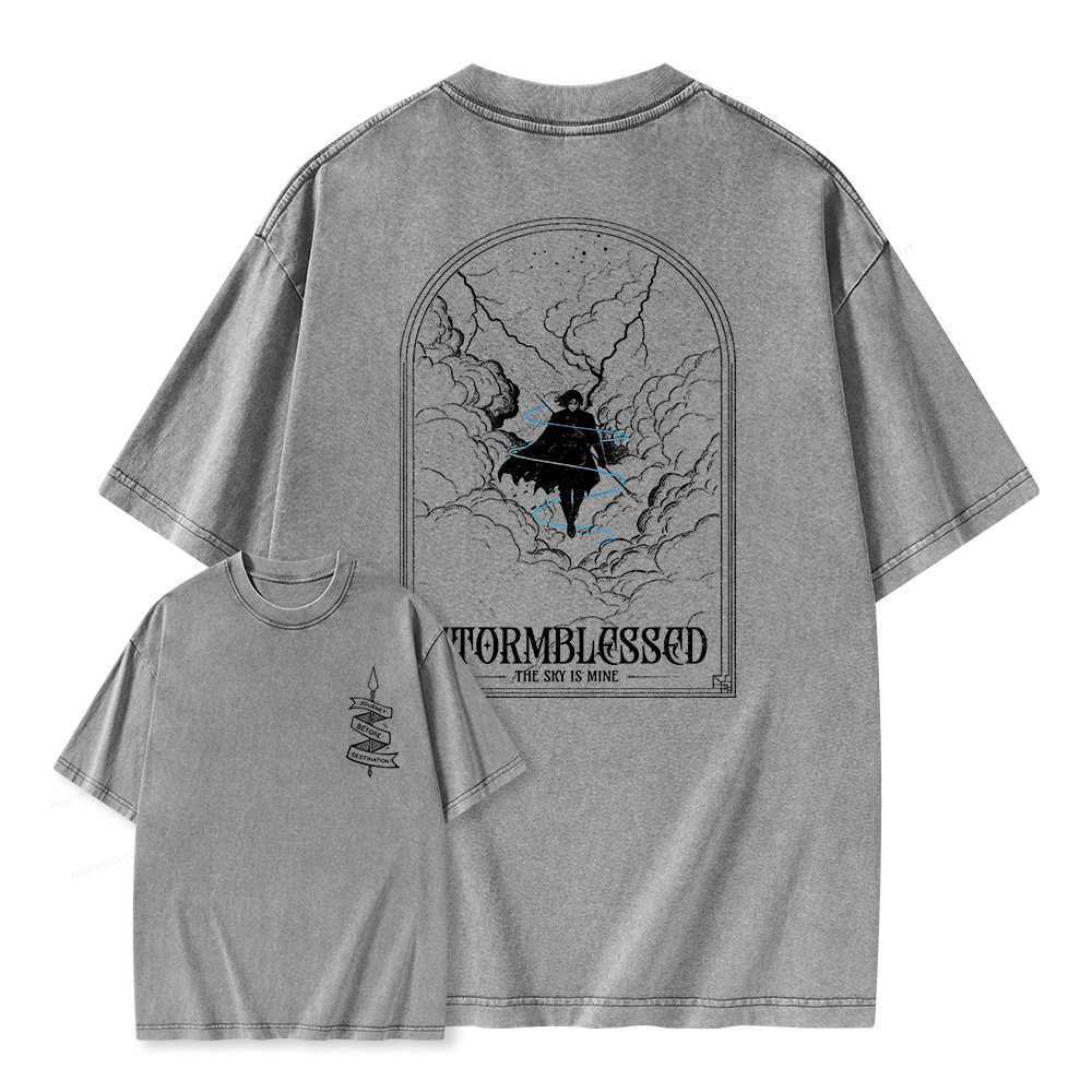 Pagewings Stormblessed Unisex Washed T-shirt