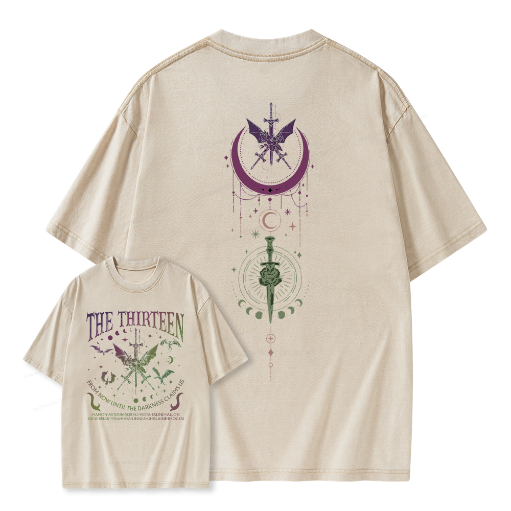 Pagewings Fantasy Books Lover Unisex Washed T-shirt
