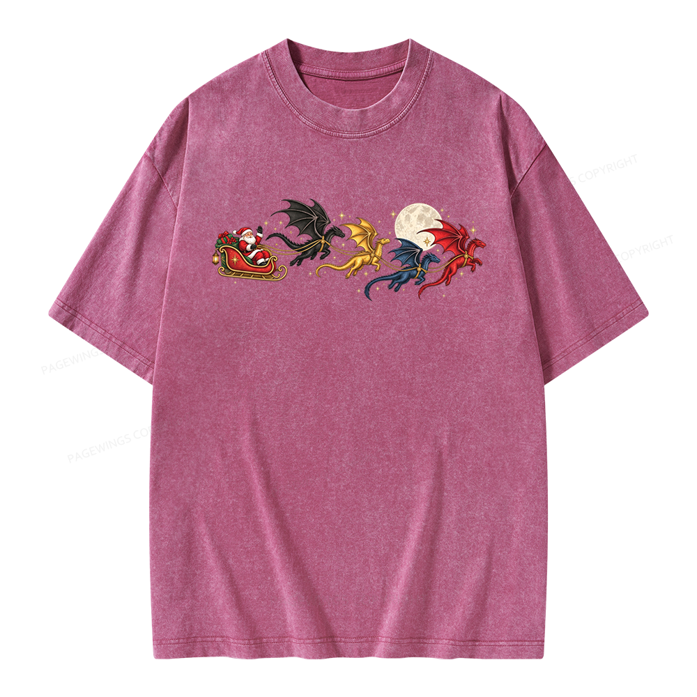 Pagewings Dragon Rider Book Fan Unisex Washed T-shirt