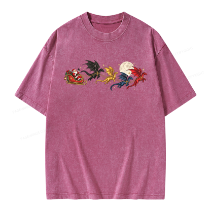 Pagewings Dragon Rider Book Fan Unisex Washed T-shirt