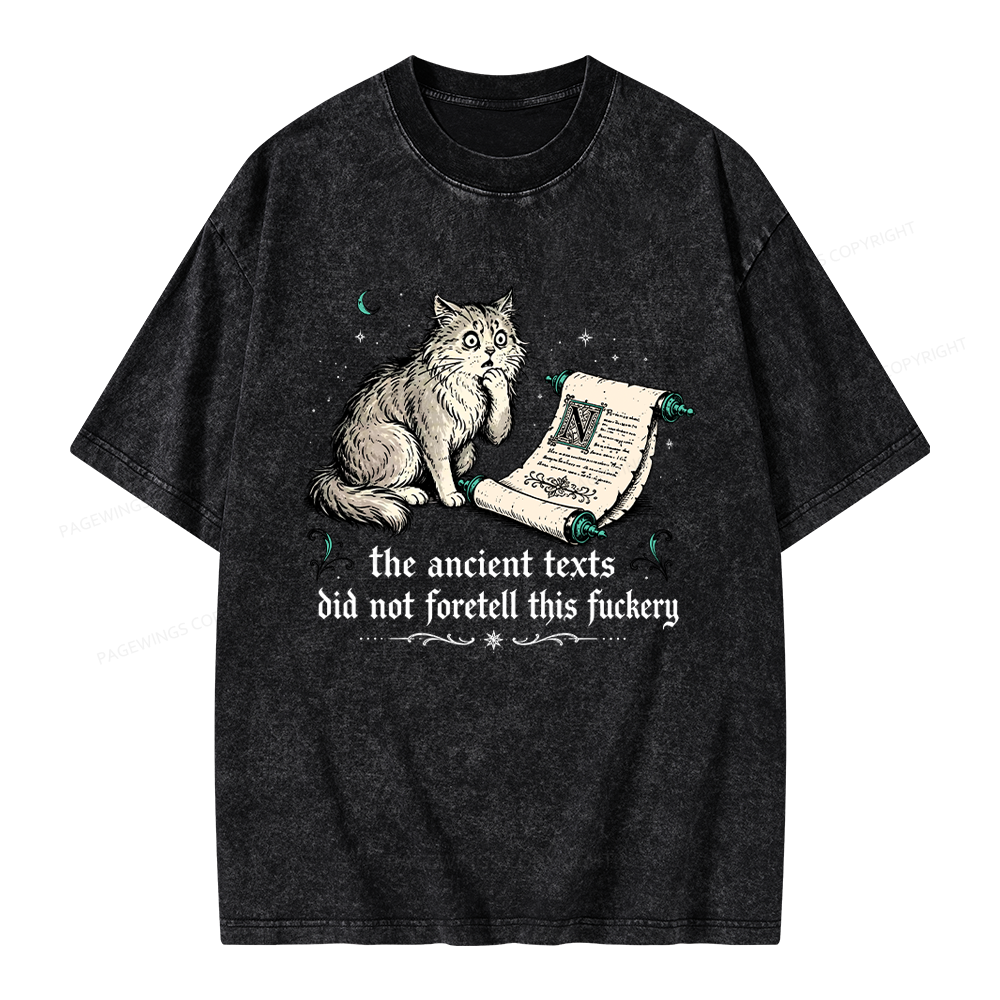 Pagewings Funny Medieval Cat Unisex Washed T-shirt
