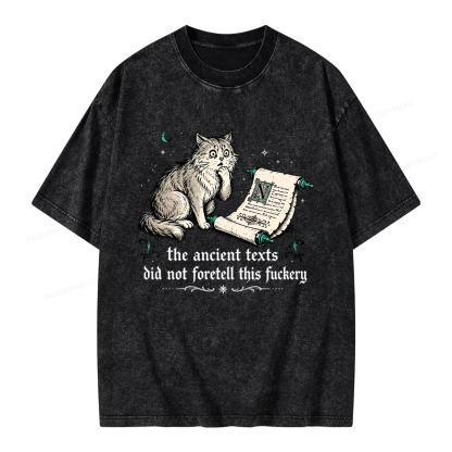 Pagewings Funny Medieval Cat Unisex Washed T-shirt