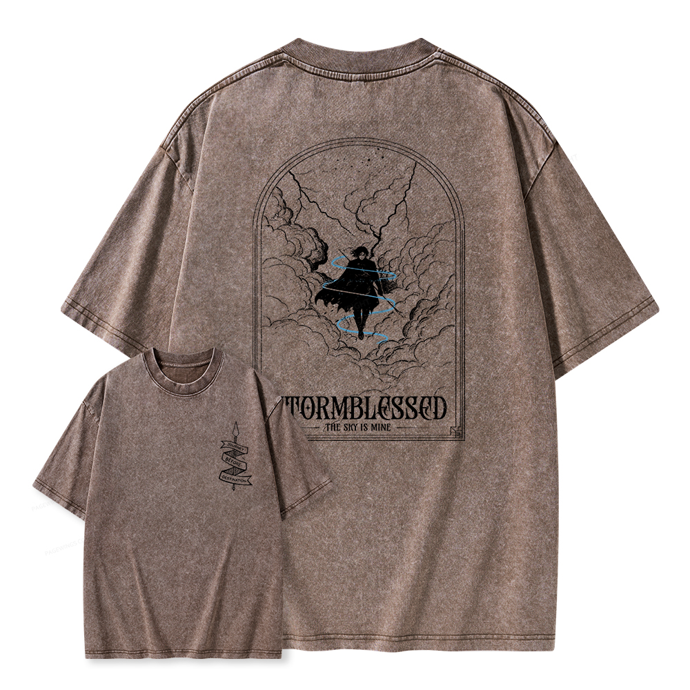 Pagewings Stormblessed Unisex Washed T-shirt