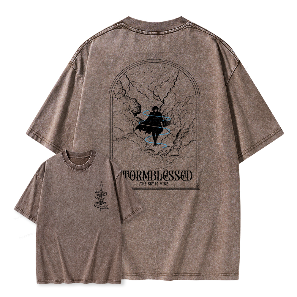 Pagewings Stormblessed Unisex Washed T-shirt