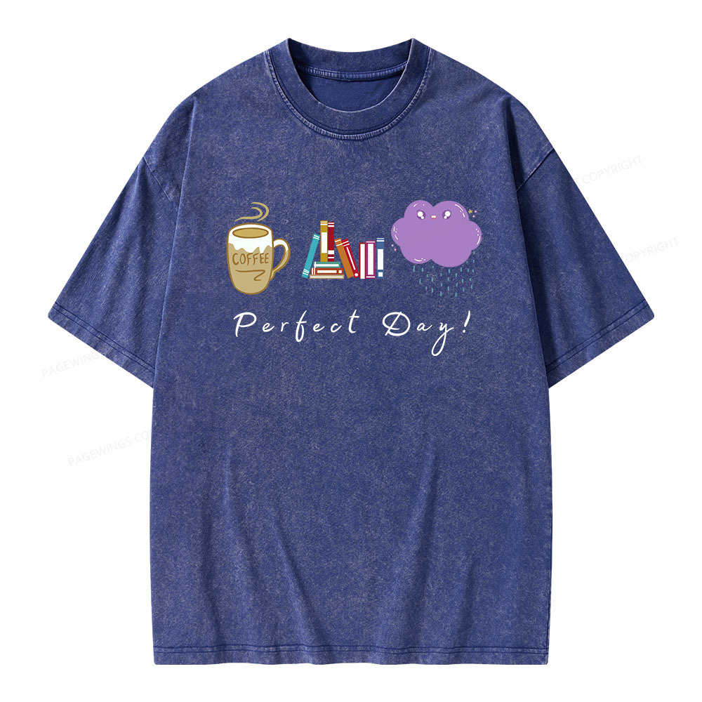 Pagewings Perfect Day Unisex Washed T-shirt