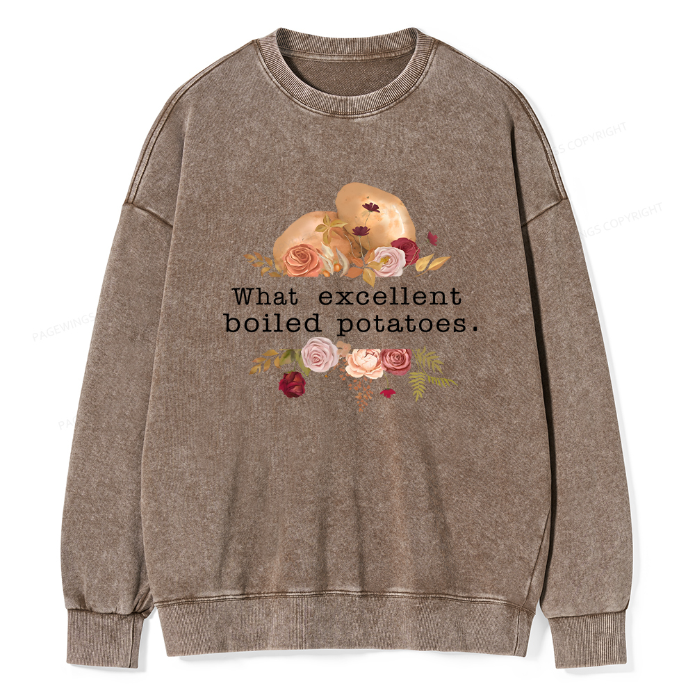 Pagewings Pride and Prejudice Unisex Washed Sweatshirt