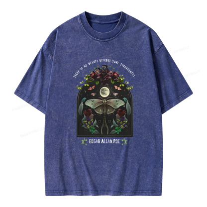 Pagewings Dark Academia Bookish Poe Unisex Washed T-shirt