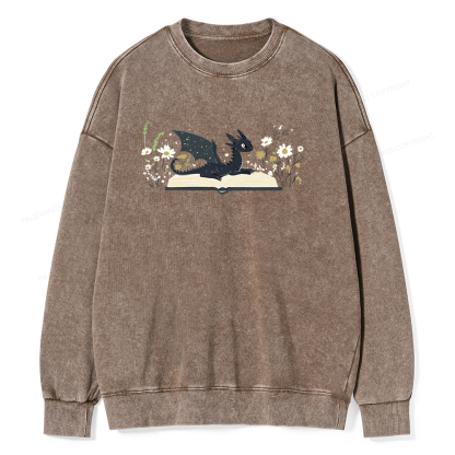 Pagewings Dragon Book Unisex Washed Sweatshirt