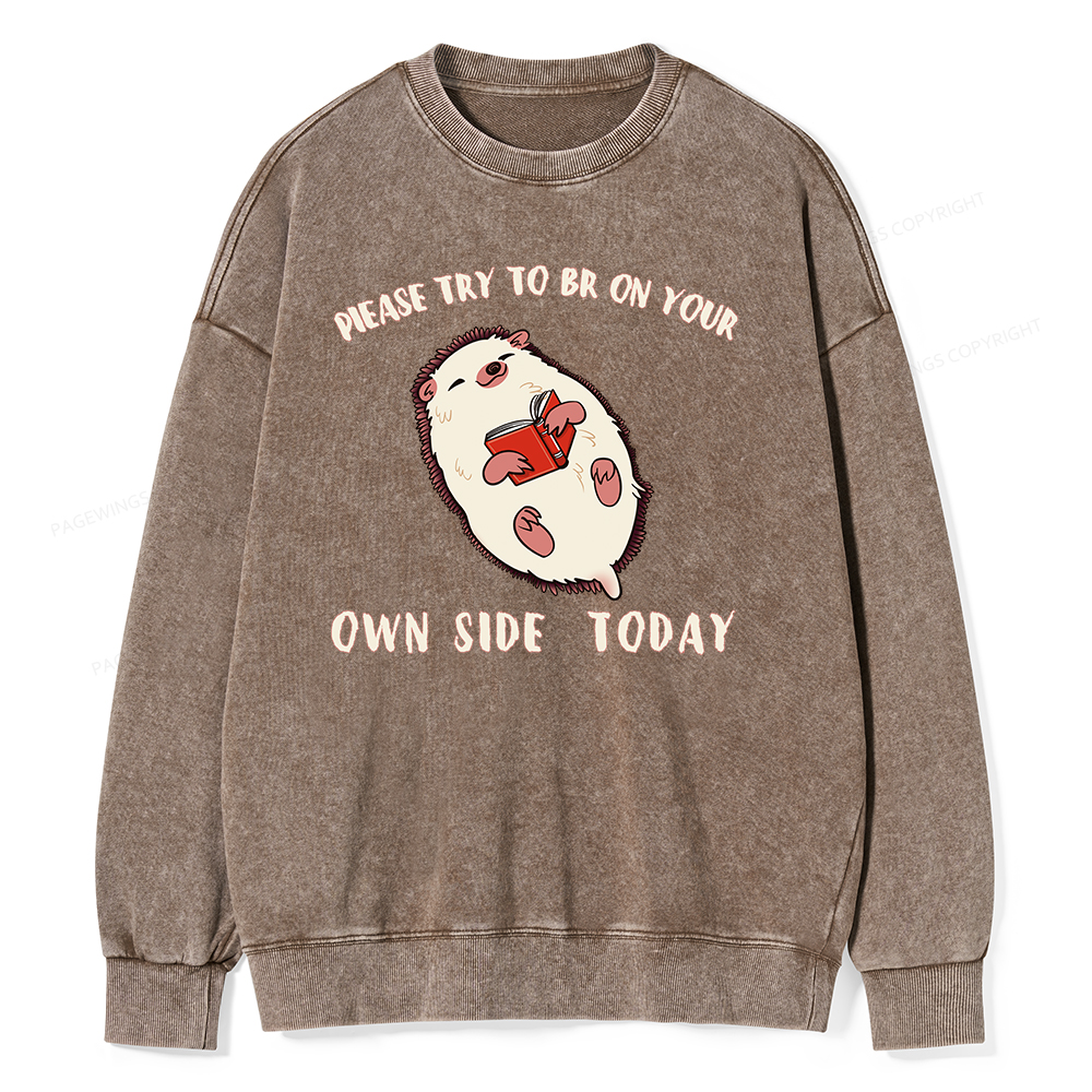 Pagewings Please Try To Be On Your Own Side Today Unisex Washed Sweatshirt