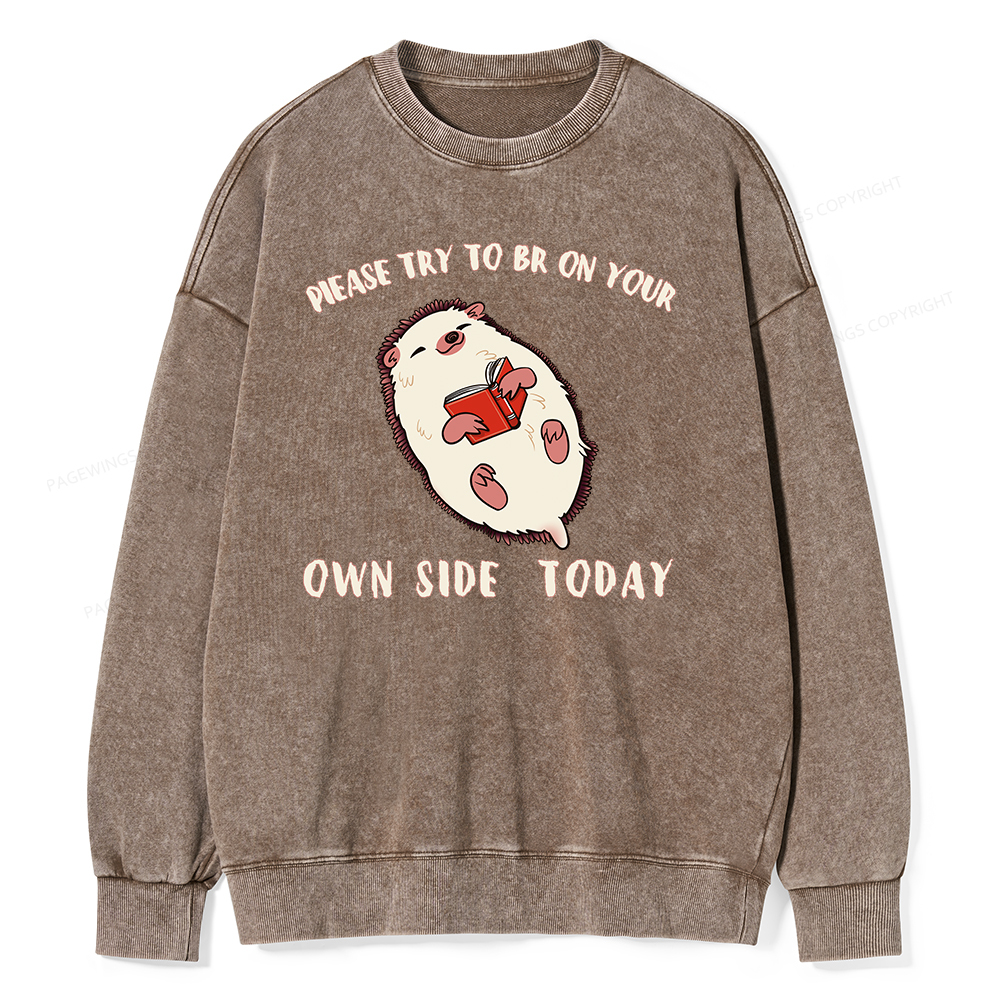 Pagewings Please Try To Be On Your Own Side Today Unisex Washed Sweatshirt
