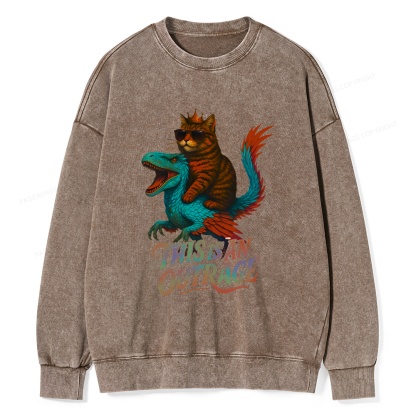 Pagewings Vintage Book Lover Princess Unisex Washed Sweatshirt