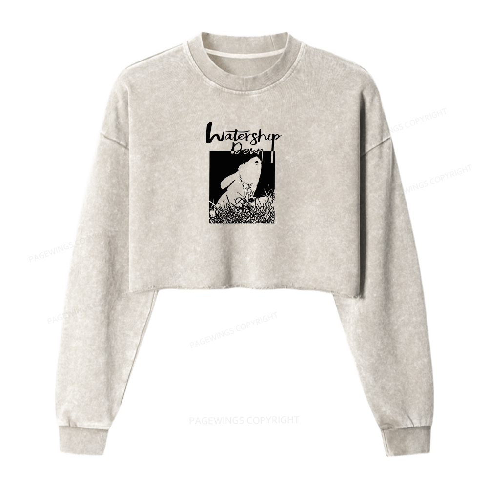 Pagewings Watership Women Washed Crop Sweatshirt