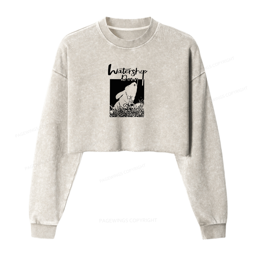 Pagewings Watership Women Washed Crop Sweatshirt