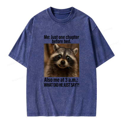 Pagewings Just One Chapter Before Bed Unisex Washed T-shirt