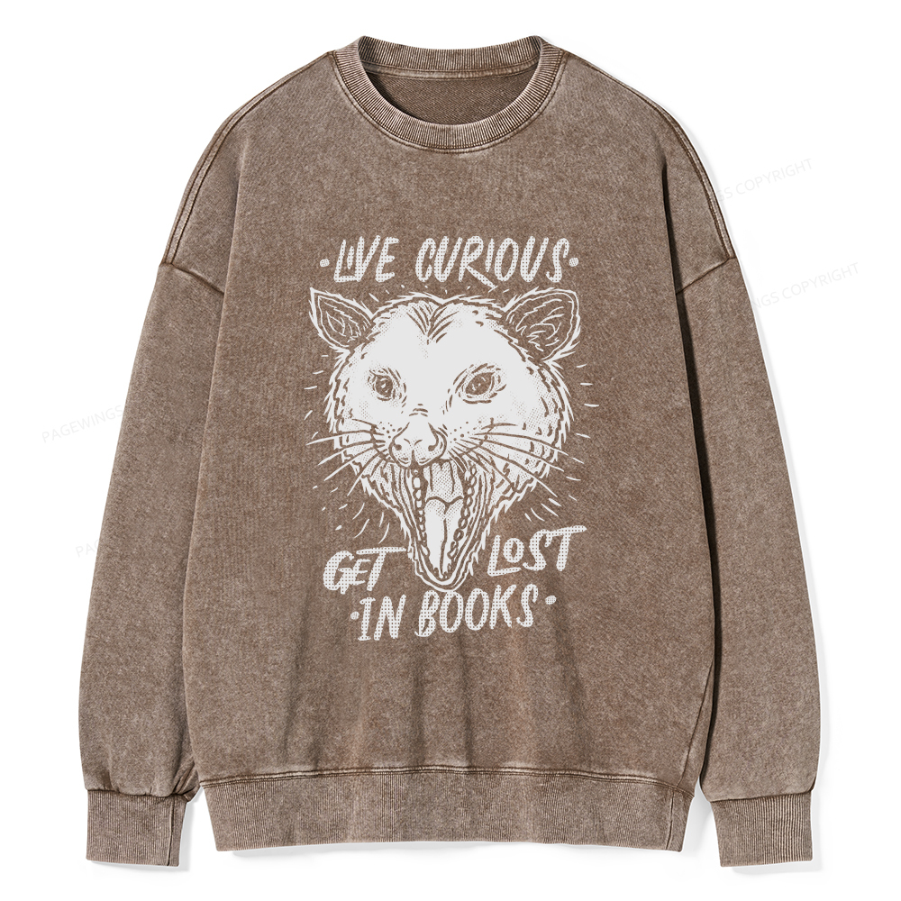 Pagewings Live Curious, Get Lost In Books Unisex Washed Sweatshirt