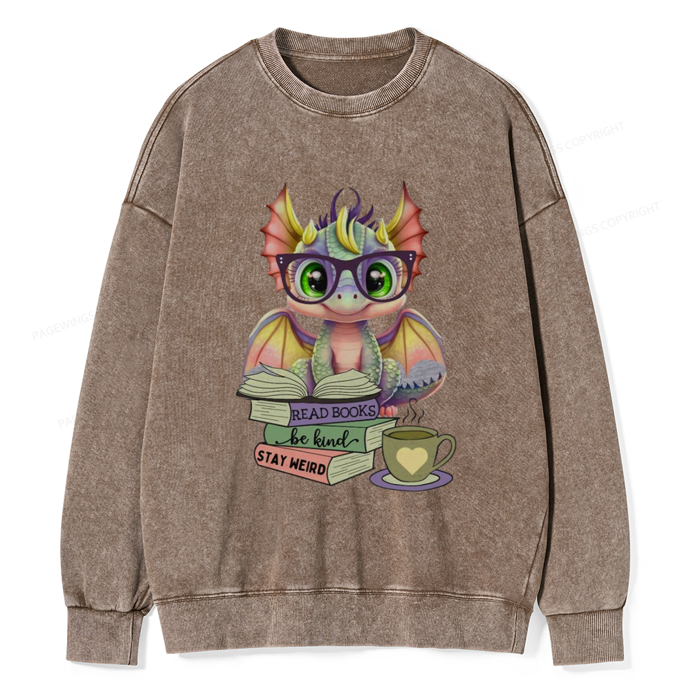 Pagewings Cute Dragon Reading Unisex Washed Sweatshirt