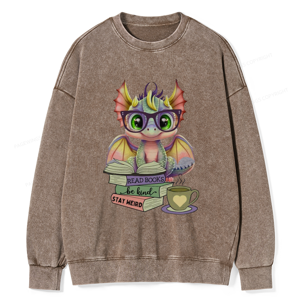 Pagewings Cute Dragon Reading Unisex Washed Sweatshirt