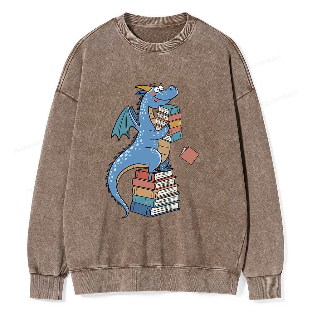 Pagewings Book Dinosaurs Unisex Washed Sweatshirt