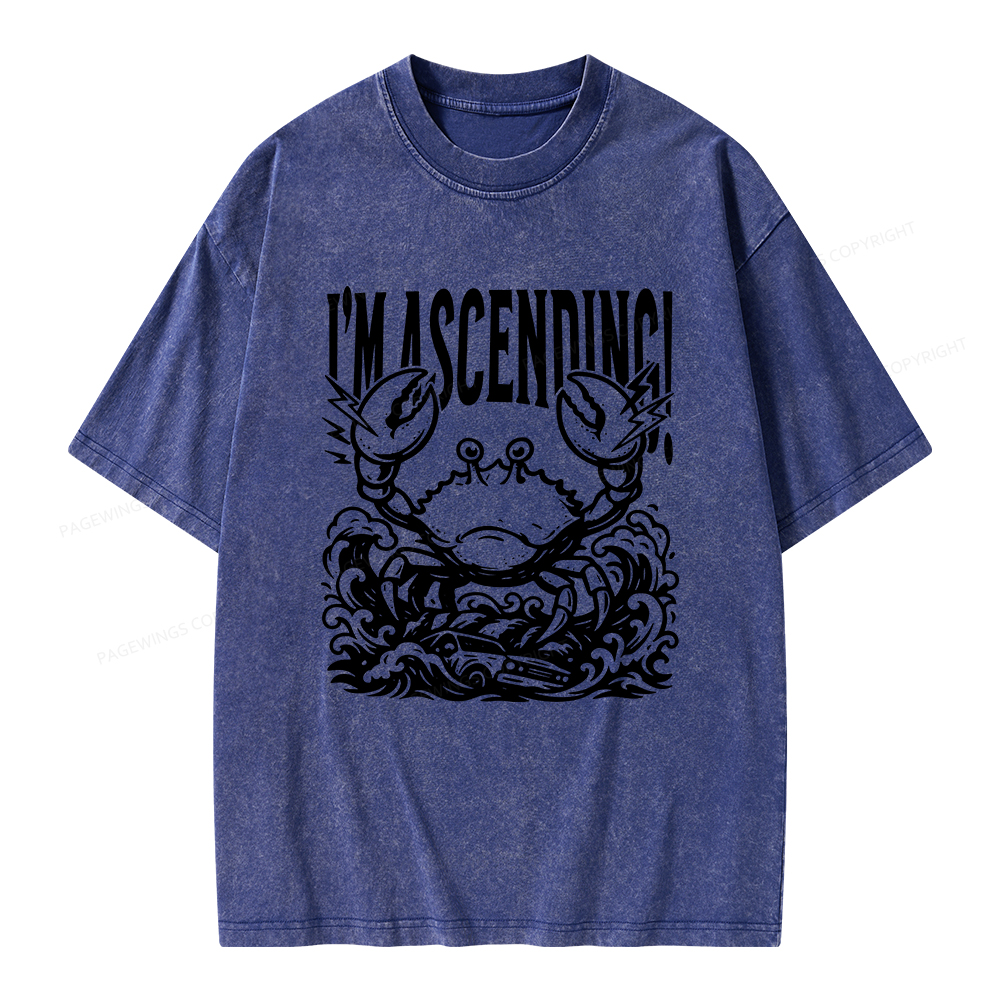Pagewings I'm Ascending Vintage Unisex Washed T-shirt