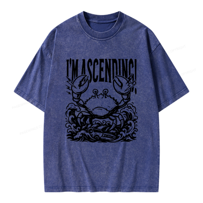 Pagewings I'm Ascending Vintage Unisex Washed T-shirt