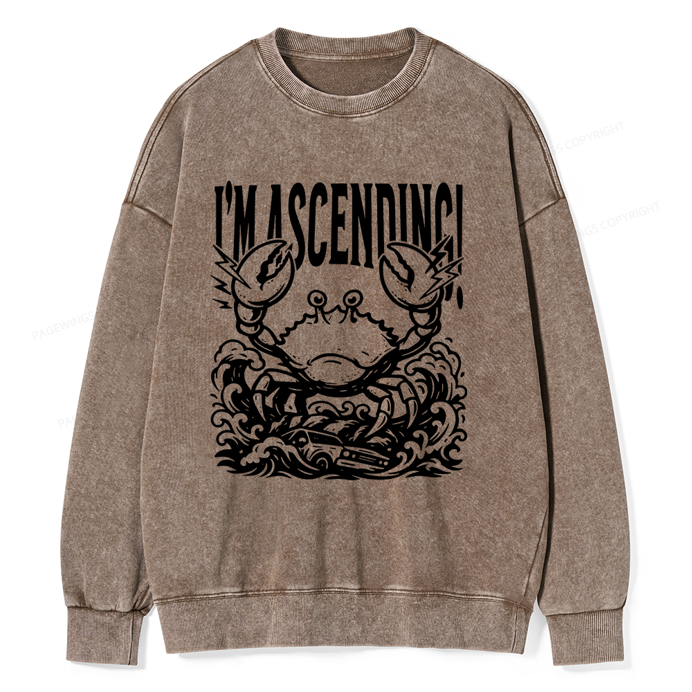 Pagewings I'm Ascending Vintage Unisex Washed Sweatshirt