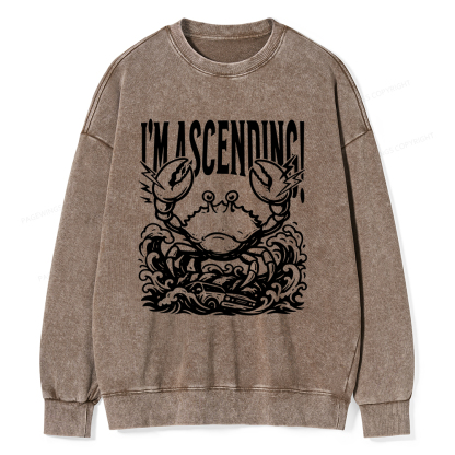 Pagewings I'm Ascending Vintage Unisex Washed Sweatshirt