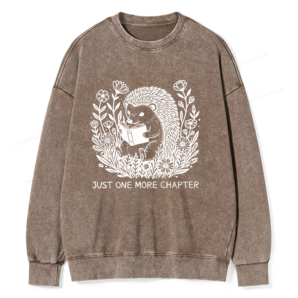 Pagewings Just One More Chapter Unisex Washed Sweatshirt