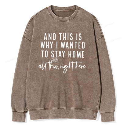 Pagewings And This Is Why I Wanted To Stay Home Unisex Washed Sweatshirt