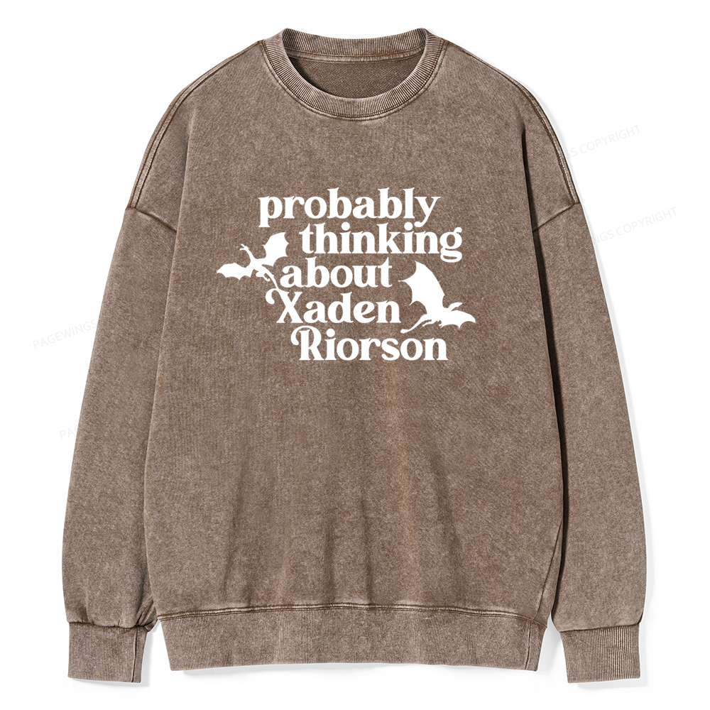 Pagewings Probably Thinking About Xaden Riorson Unisex Washed Sweatshi