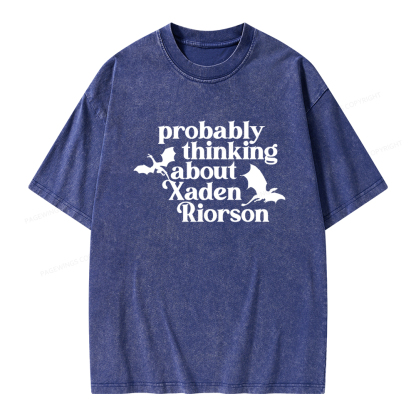 Pagewings Probably Thinking About Xaden Riorson Unisex Washed T-shirt