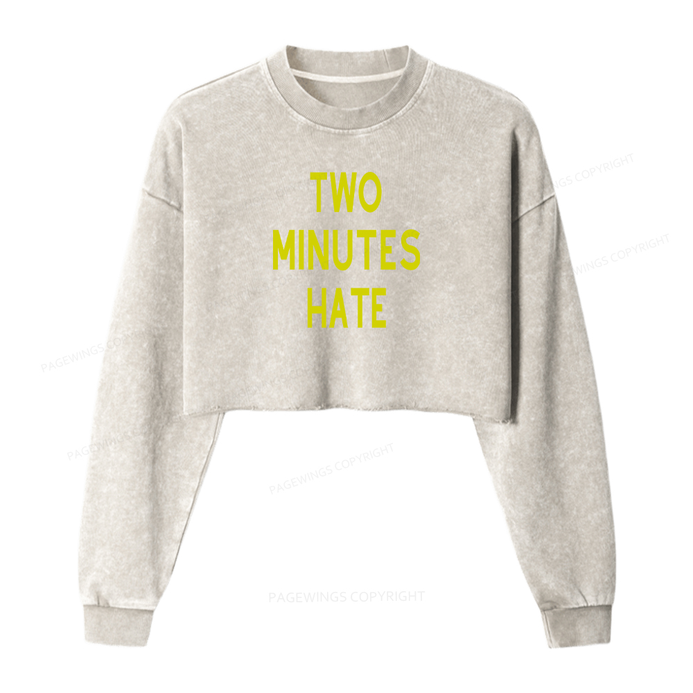 Pagewings Two Minutes Hate Washed Crop Sweatshirt