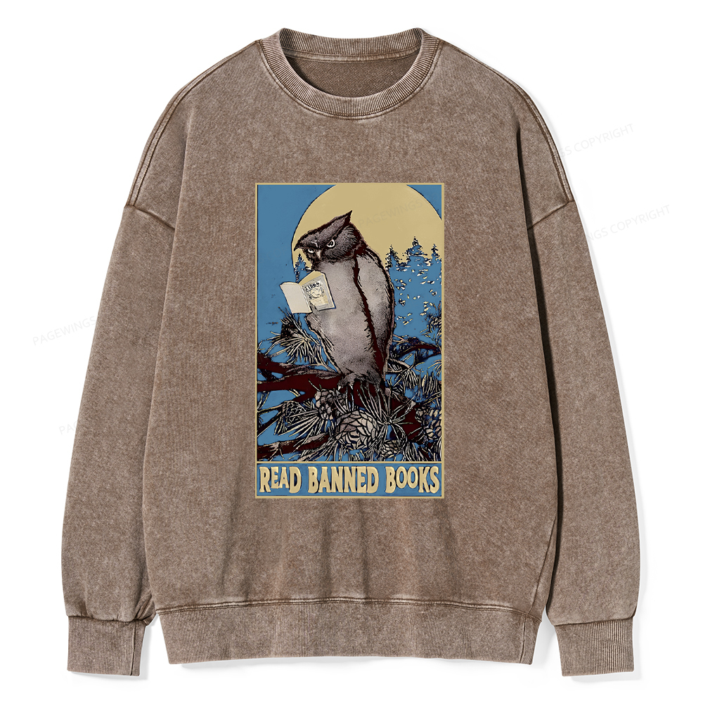 Pagewings Owl Read Banned Books Washed Sweatshirt
