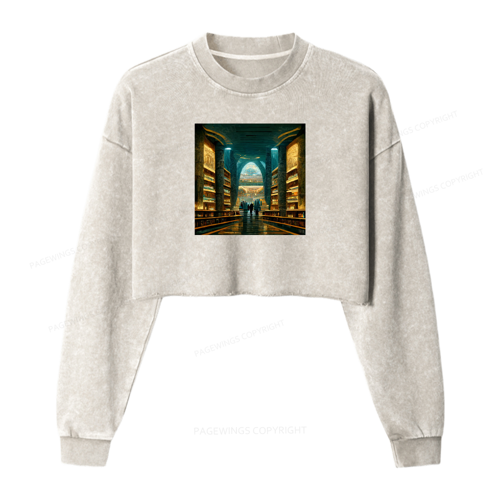 Pagewings Library Of Alexandria Premium Washed Crop Sweatshirt