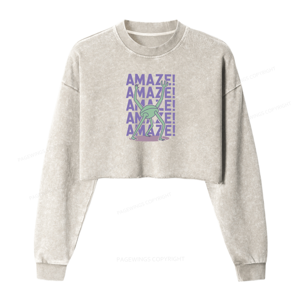 Pagewings Rocky Amaze Washed Crop Sweatshirt