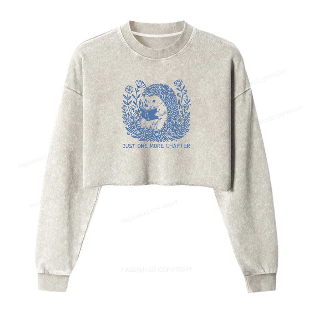 Pagewings Just One More Chapter Washed Crop Sweatshirt