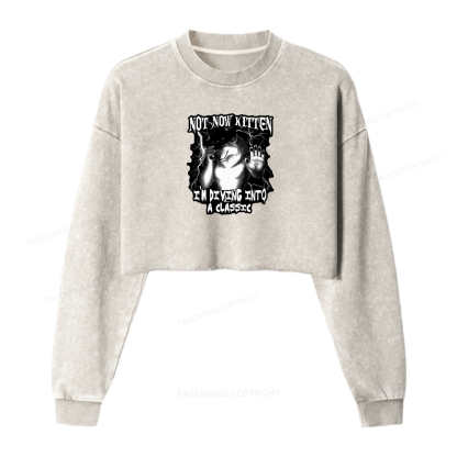 Pagewings I’m Diving Into A Classic Washed Crop Sweatshirt