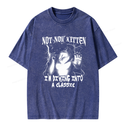Pagewings Not Now Kitten I’m Diving Into A Classic Unisex Washed T-shirt