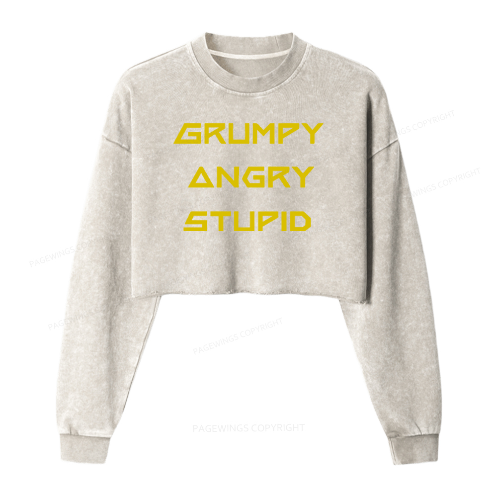 Pagewings Grumpy Angry Stupid Washed Crop Sweatshirt