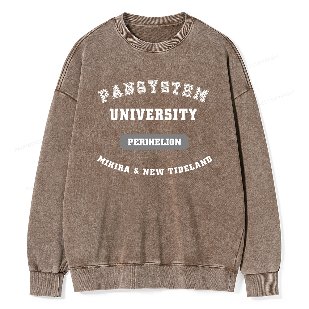 Pagewings Pansystem University Washed Sweatshirt