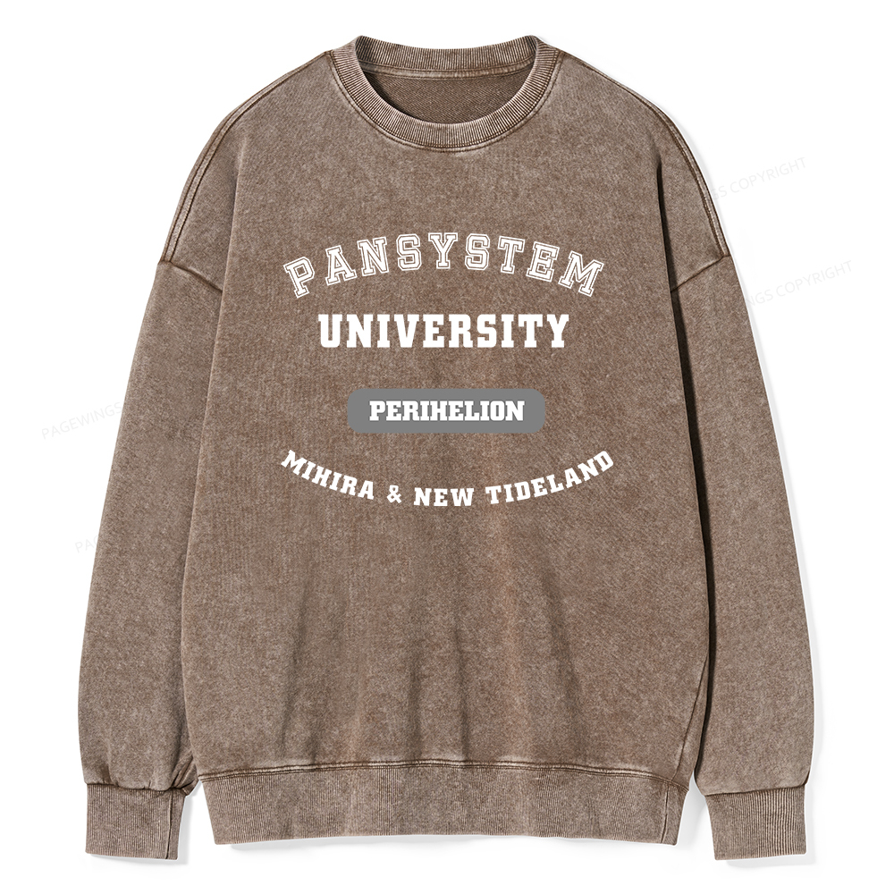 Pagewings Pansystem University Washed Sweatshirt