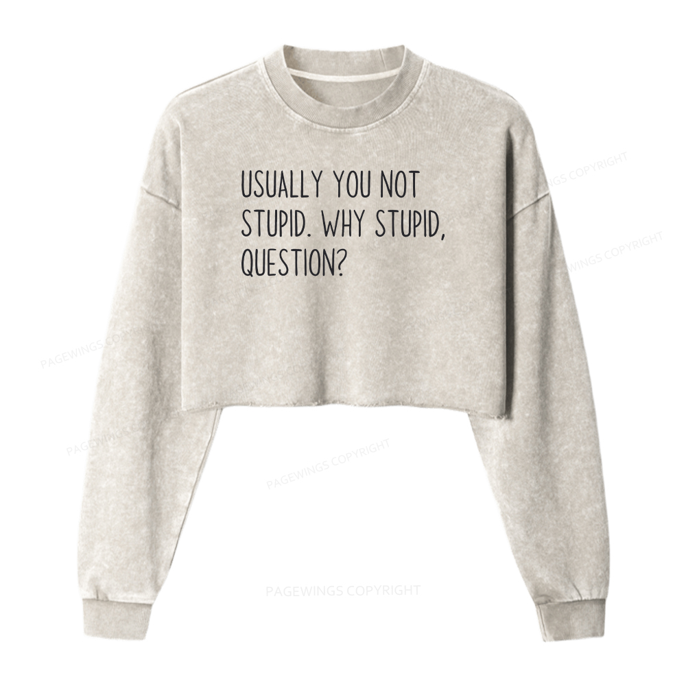 Pagewings Funny Rocky Quote Washed Crop Sweatshirt