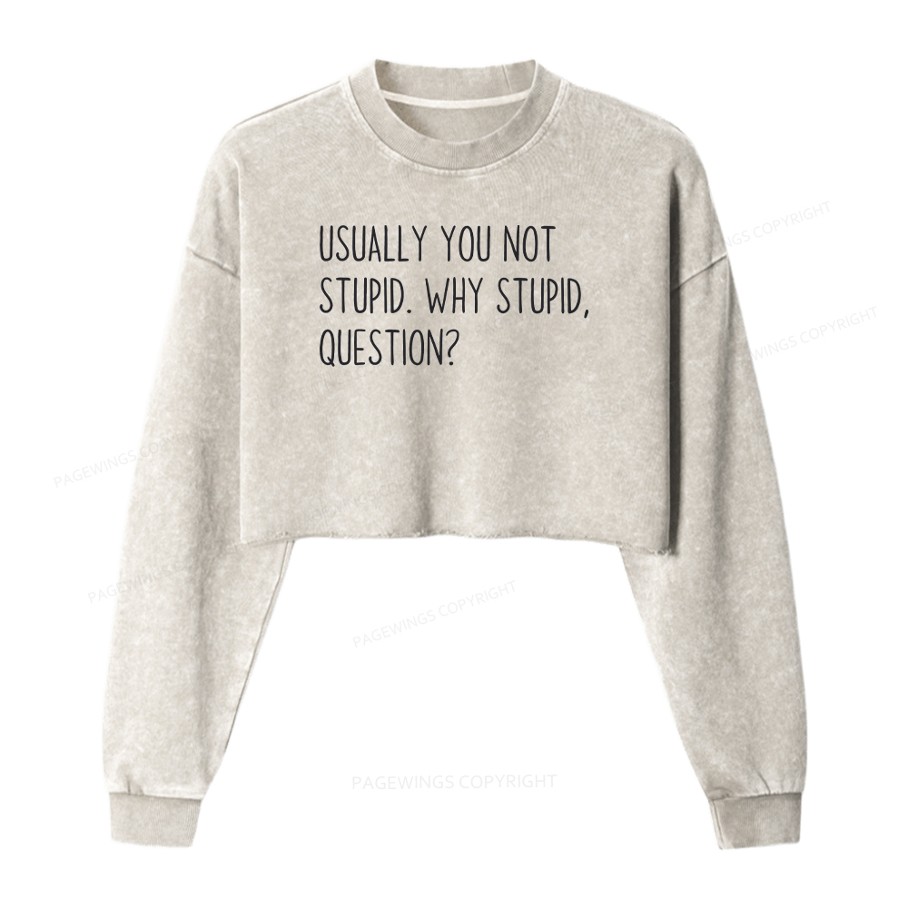 Pagewings Funny Rocky Quote Washed Crop Sweatshirt