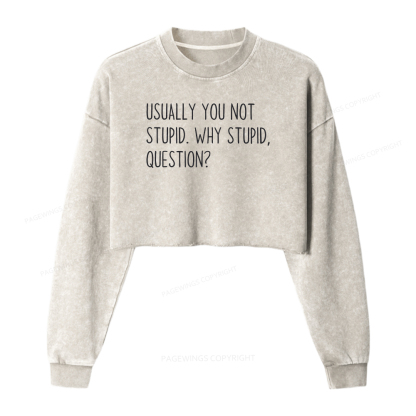Pagewings Funny Rocky Quote Washed Crop Sweatshirt