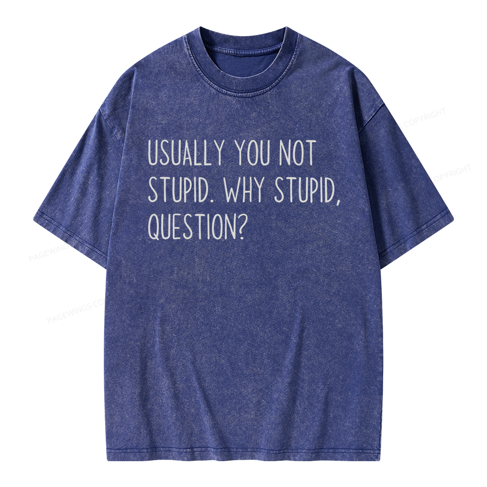 Pagewings Why Stupid Question Unisex Washed T-shirt